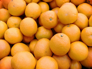 Pompes Funèbres Orange